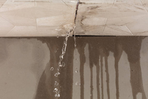 Professional Structural Drying technician working in Petersburg, OH